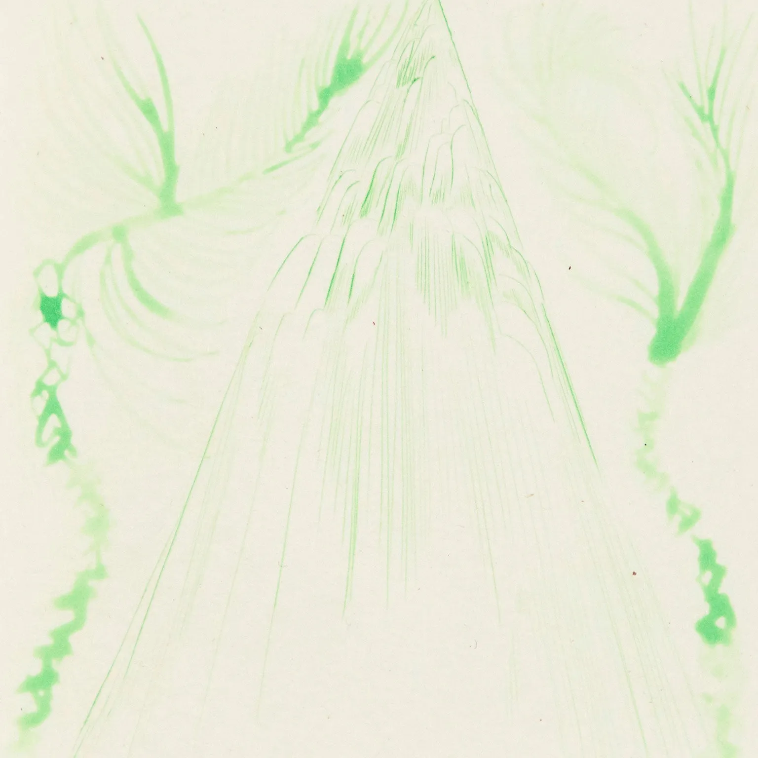 CHRIS OFILI "GREEN RIANN" AQUATINT, 2008