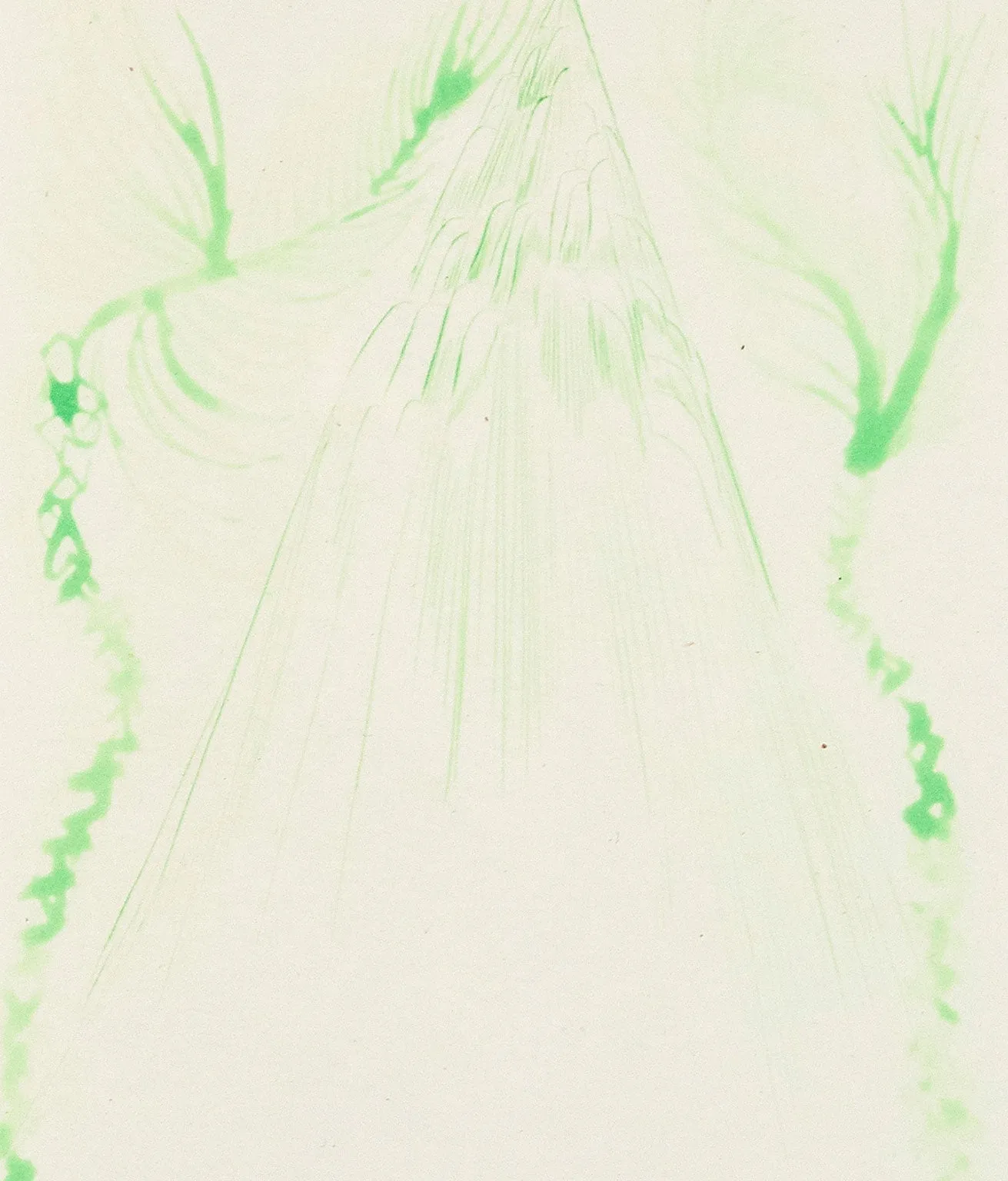 CHRIS OFILI "GREEN RIANN" AQUATINT, 2008