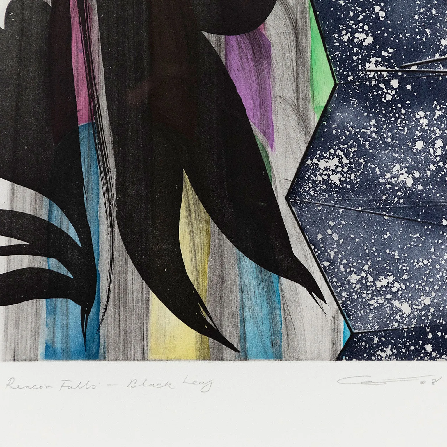 CHRIS OFILI "RINCON FALLS" AQUATINT, 2008