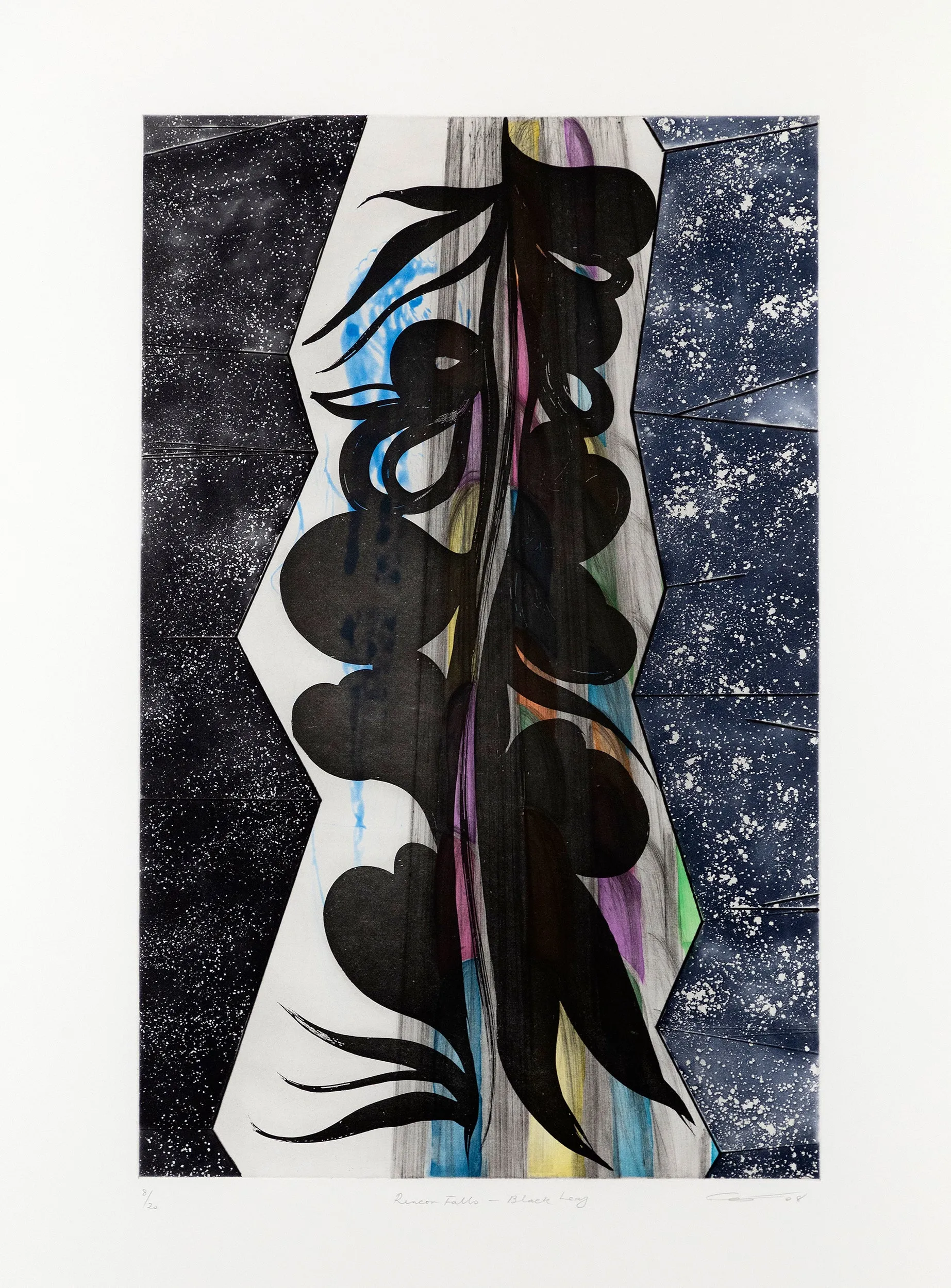 CHRIS OFILI "RINCON FALLS" AQUATINT, 2008