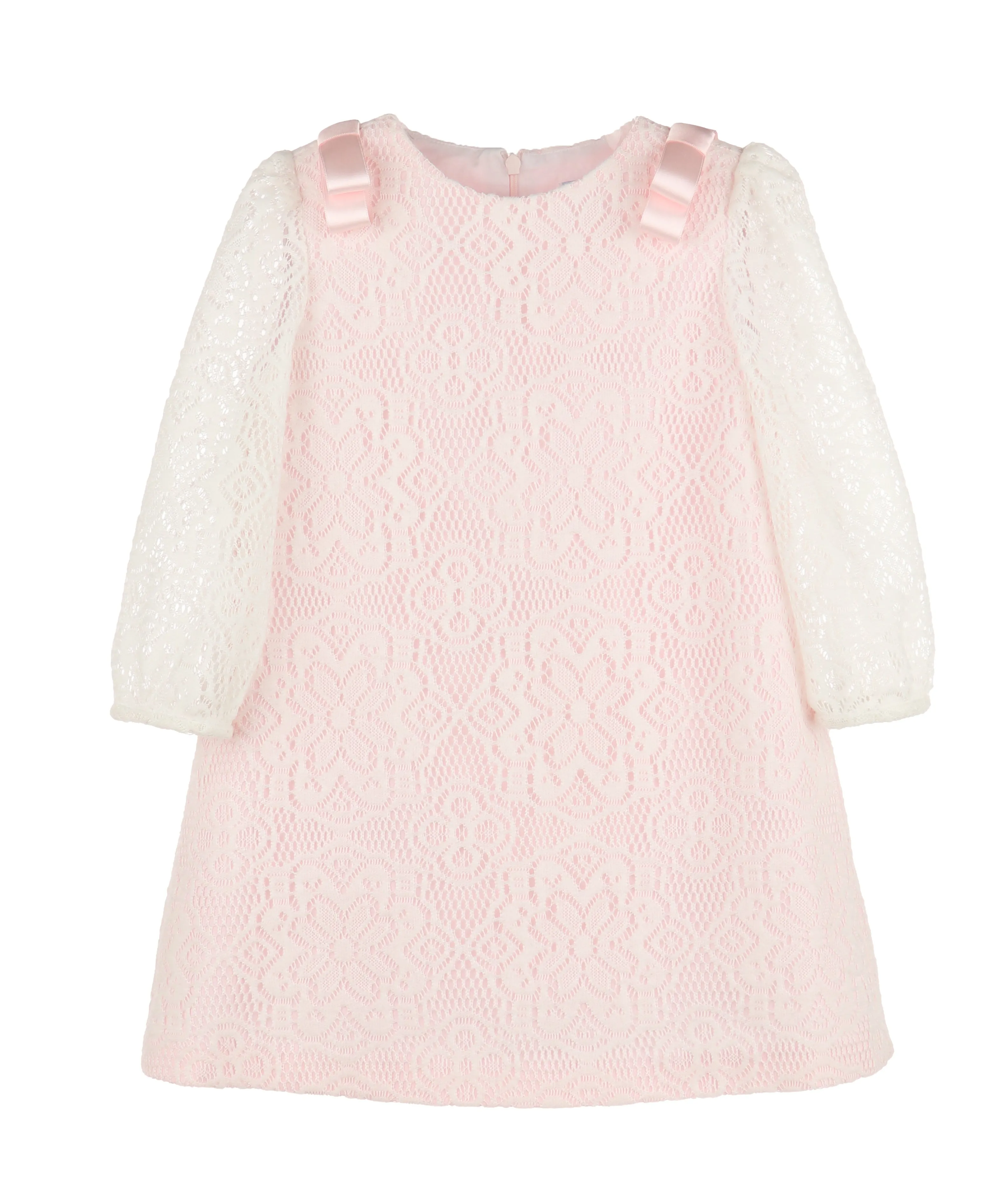 Dainty Lace Dress