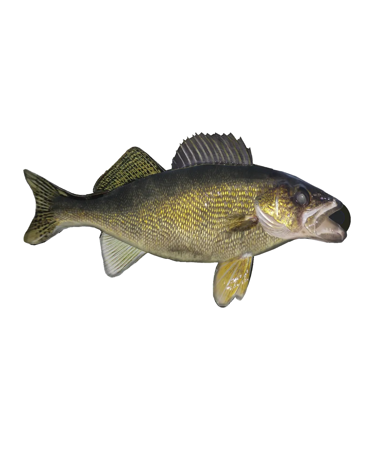 d'ears Walleye Pin