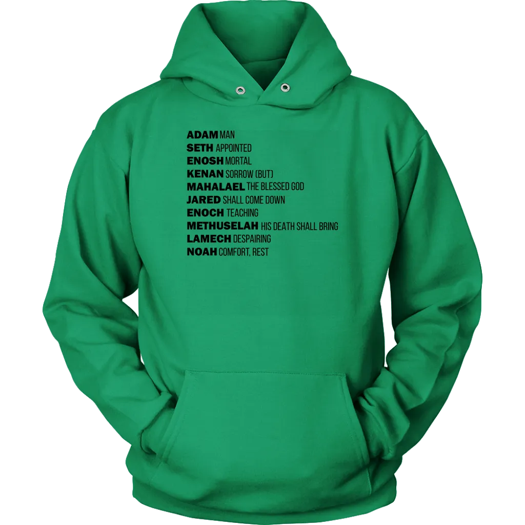 God's Plan From The Beginning Unisex Hoodie Part 1