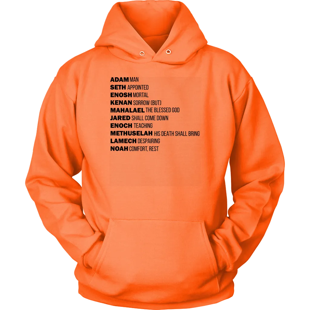 God's Plan From The Beginning Unisex Hoodie Part 1