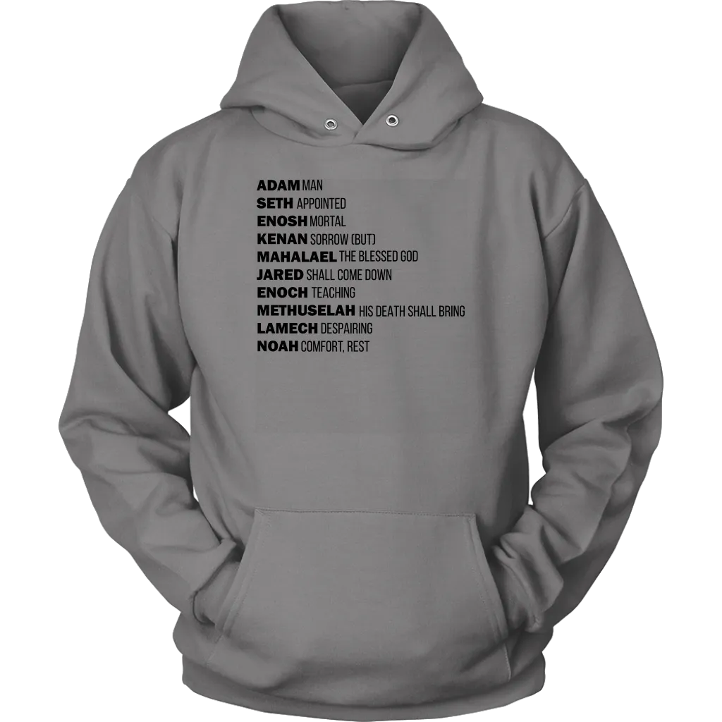 God's Plan From The Beginning Unisex Hoodie Part 1
