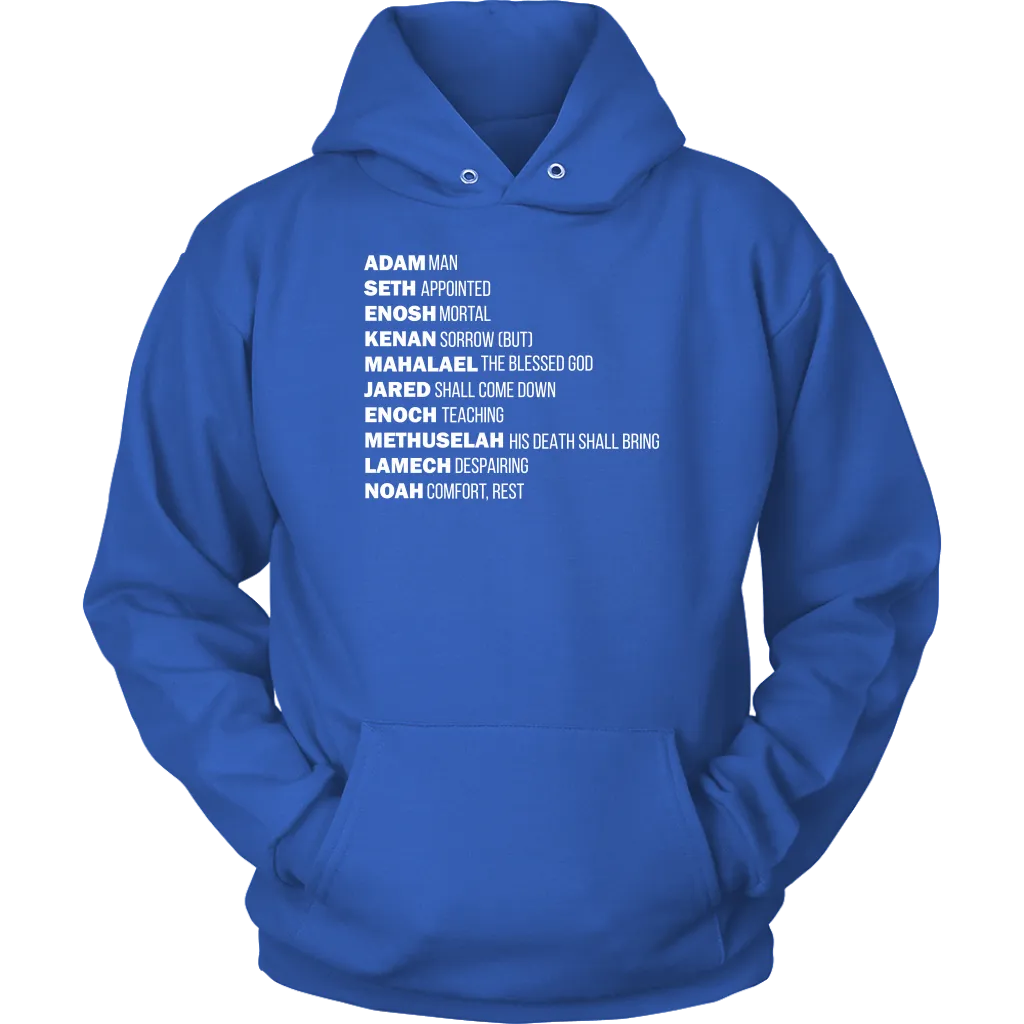 God's Plan From The Beginning Unisex Hoodie Part 2