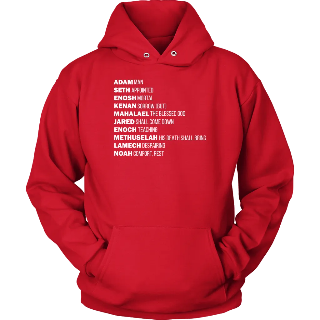 God's Plan From The Beginning Unisex Hoodie Part 2