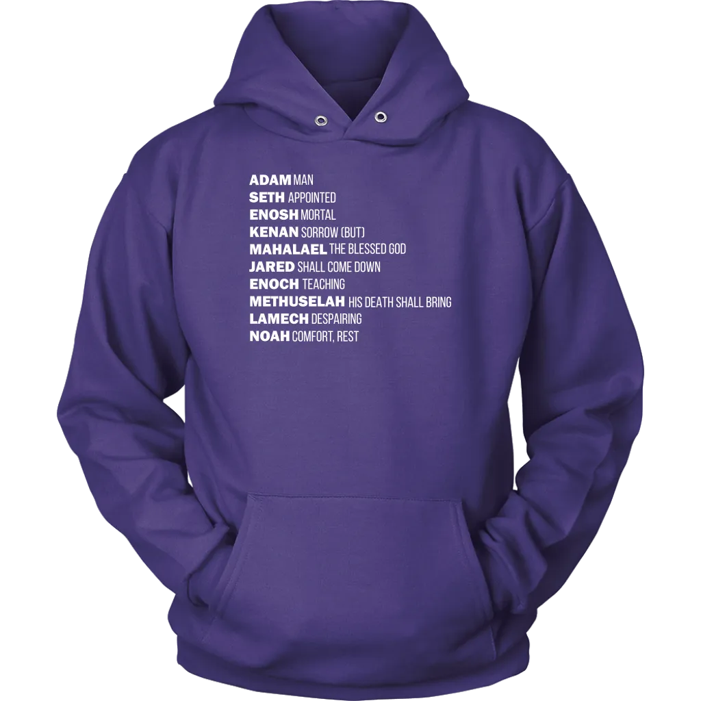 God's Plan From The Beginning Unisex Hoodie Part 2