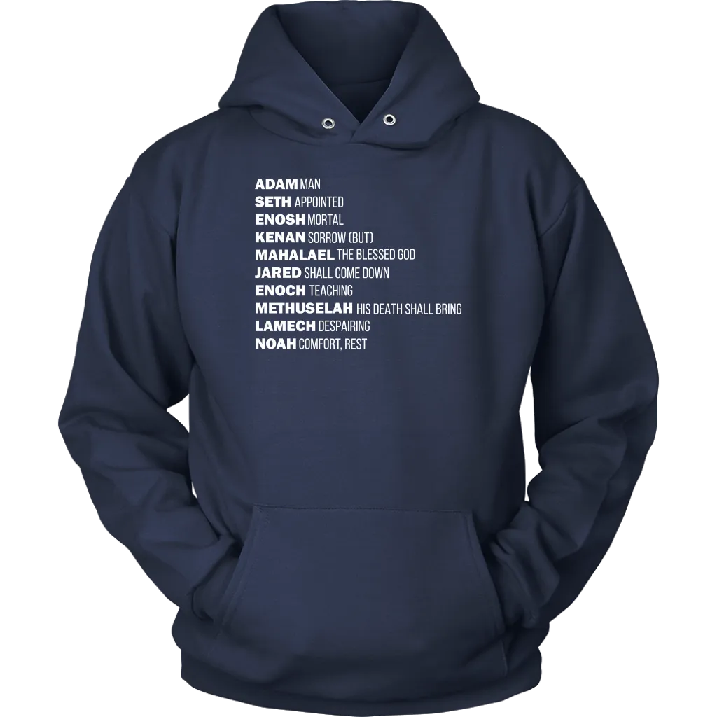 God's Plan From The Beginning Unisex Hoodie Part 2