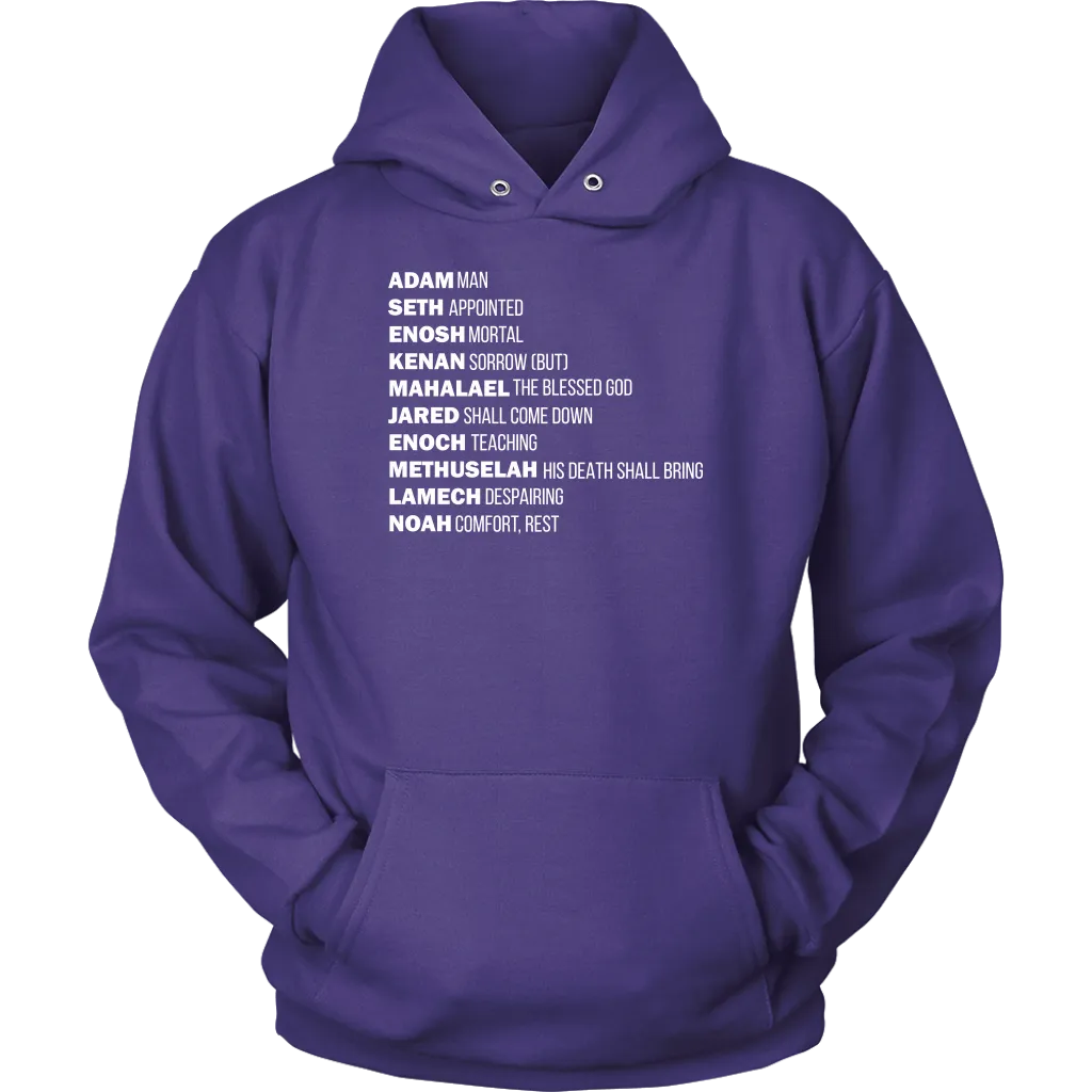 God's Plan From The Beginning Unisex Hoodie Part 2