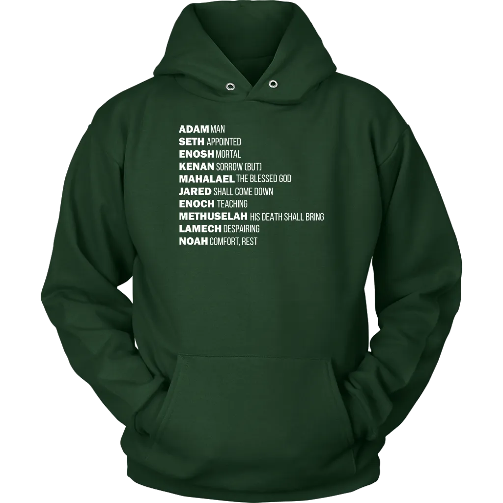 God's Plan From The Beginning Unisex Hoodie Part 2