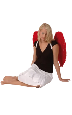 Red Angel Wings 65x65cm