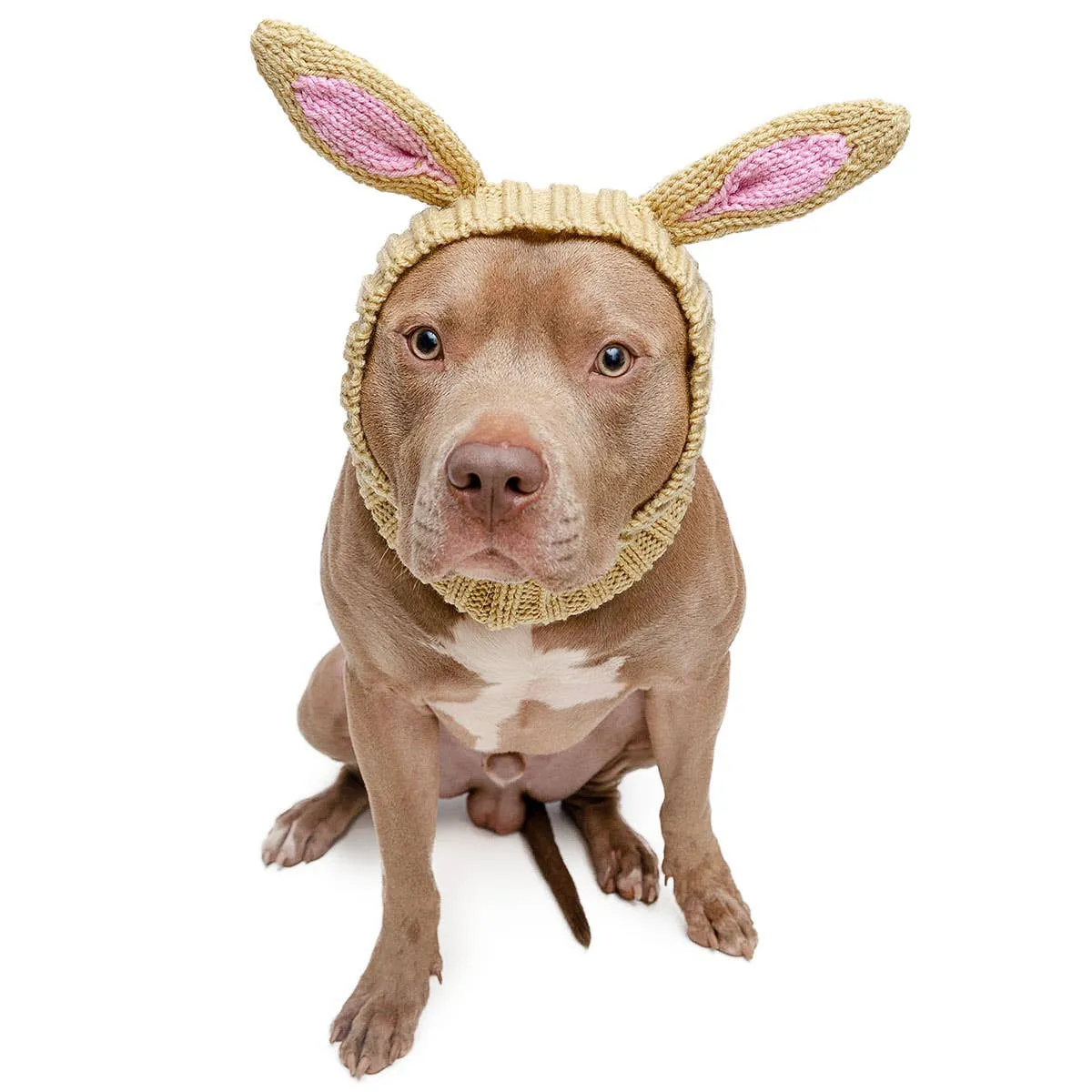 Zoo Snoods - Jack Rabbit Zoo Snood